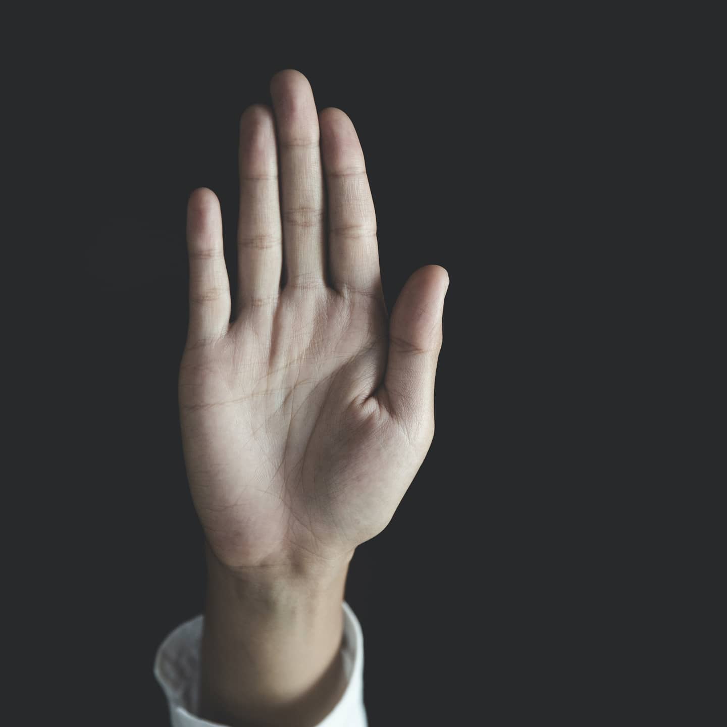 acesdvcampaign-page-gallery-12-square