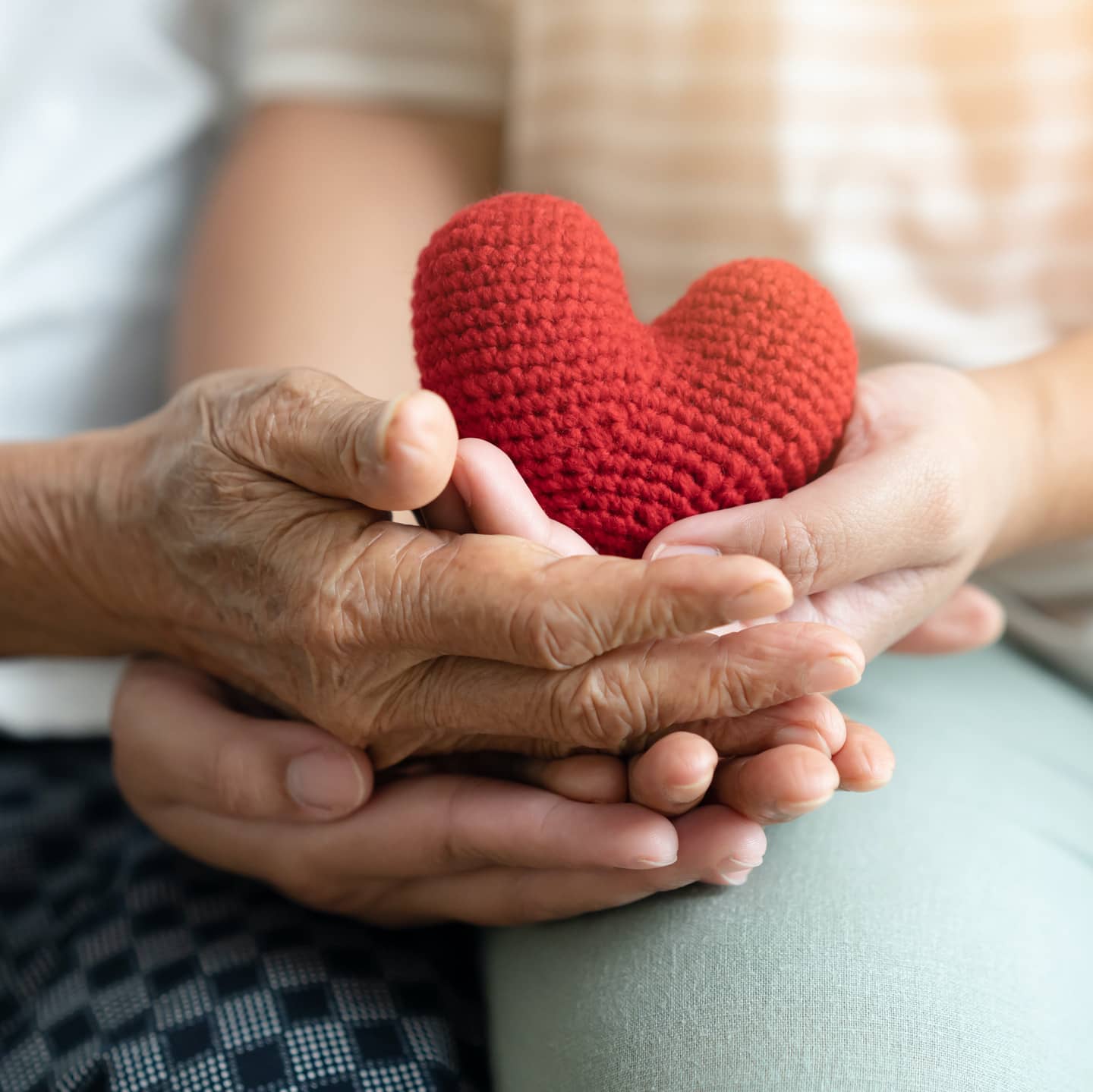 acesdvcampaign-page-gallery-21-square